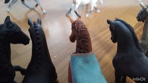 ИРБИЯ VS КЛОДИН  батал, видео для конкурса каналу Horse Life 🐎