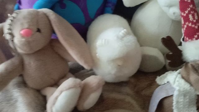 медведь украл мои конфеты