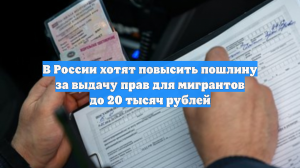 В России хотят повысить пошлину за выдачу прав для мигрантов до 20 тысяч рублей