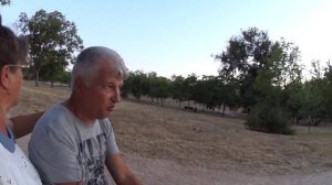 Красивый закат .