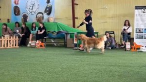 WhatsApp Video 2025-08-05 at 09.05.38