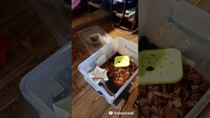производство