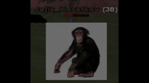 "do you love the way i do when i'm loving your body"