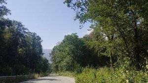 водопойчик.mp4