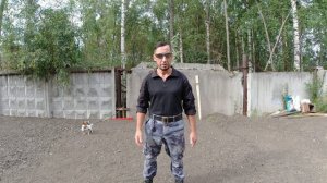 Как начать дрессировать собаку. Базовая дрессировка.