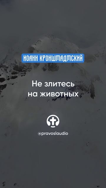 307 Не злитесь на животных — Иоанн Кронштадтский #Бог #душа #вера #молитва #сердце #любовь #жизнь смотреть онлайн