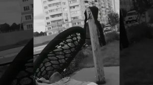 Эдит веному