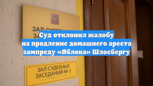 Суд отклонил жалобу на продление домашнего ареста зампреду «Яблока» Шлосбергу