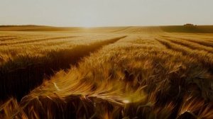 Гибель хазарского каганата