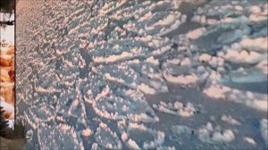 2024-02-09 МОСКВА ВДНХ