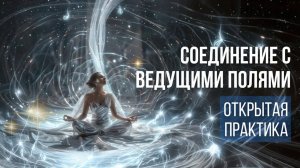 Соединение с ведущими полями