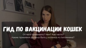 Гид по вакцинации кошек! Все по полкам за 14 минут #вакцинация #прививки #ветеринария #болезни