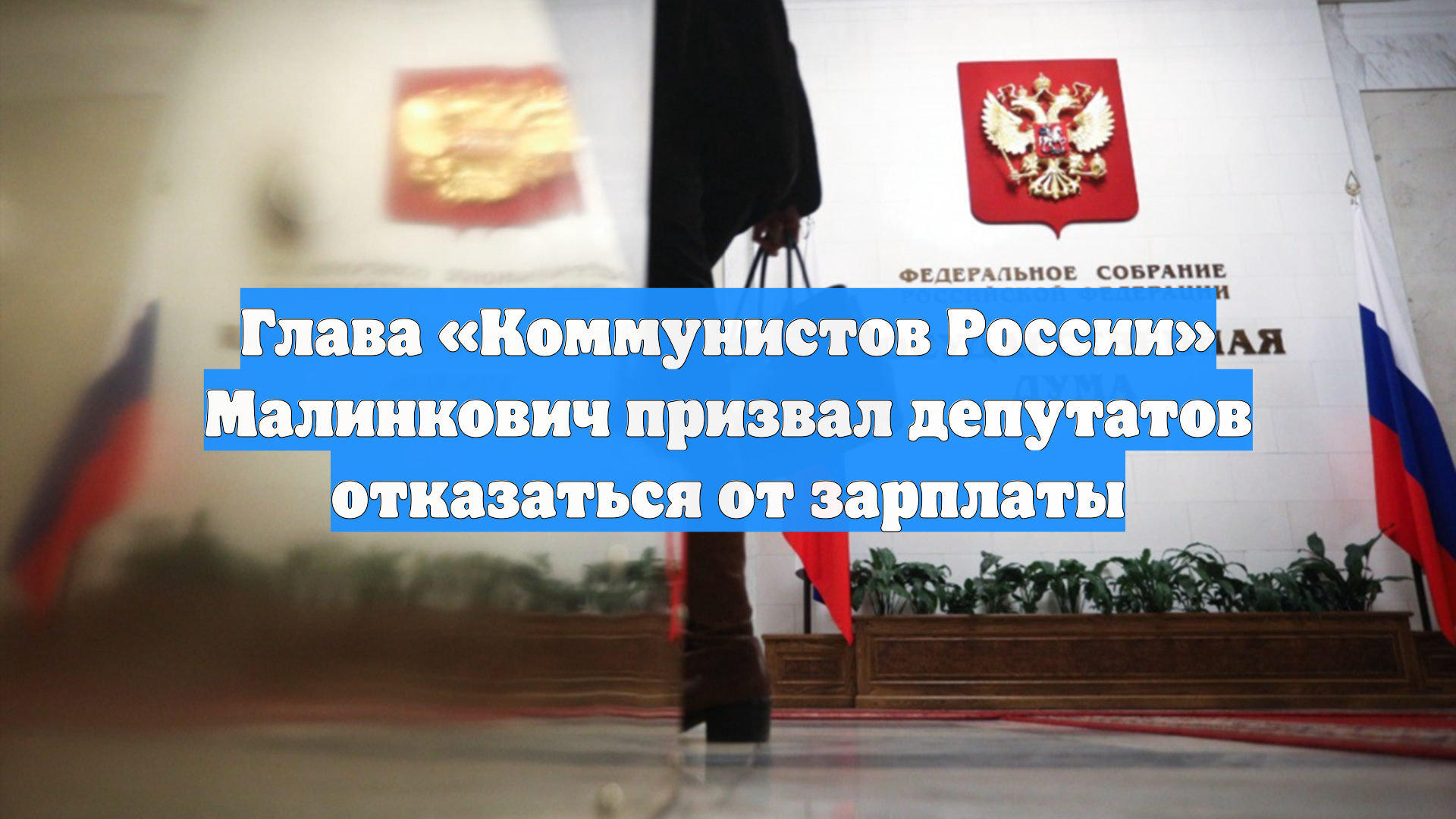 Глава «Коммунистов России» Малинкович призвал депутатов отказаться от зарплаты