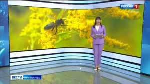 Местное время. Итоги недели с Майей Аленовой (11 - 17 августа 2025 г.)