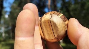 Шкатулка в августовском лесу на березе с сувелью