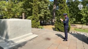 Бастрыкину доложат о расследовании дела о гибели ребенка в саратовском Горпарке