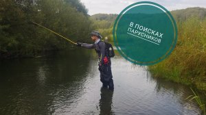 В поисках "парусников". За хариусом по ручьям.