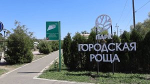 Более 200 человек приняли участие в фестивале интеллектуально-цифровых видов спорта в Армавире