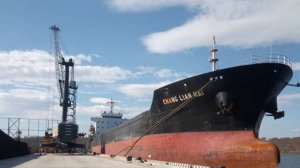 Строительство балкеров для экспорта зерна в РФ может быть перенесено в Китай