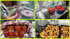 Кому ВЫХОДНОЙ, а у меня ДЕНЬ ЗАГОТОВОК 🍐🍅🥬