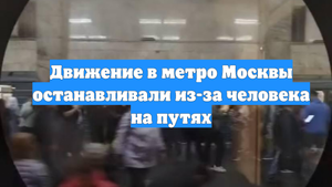Движение в метро Москвы останавливали из-за человека на путях