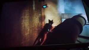 1 часть канализация