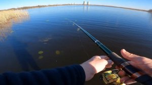 Рыбалка в ТЕПЛОМ озере на ПОПЛАВОК. Удомля. Карась, подлещик, густера.