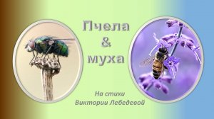 Пчела и муха (Песня)