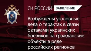 Возбуждены уголовные дела о терактах в связи с атаками украинских боевиков на гражданские объекты