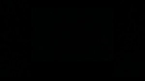 видео с моим братом