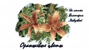 Оранжевые цветы (Песня)