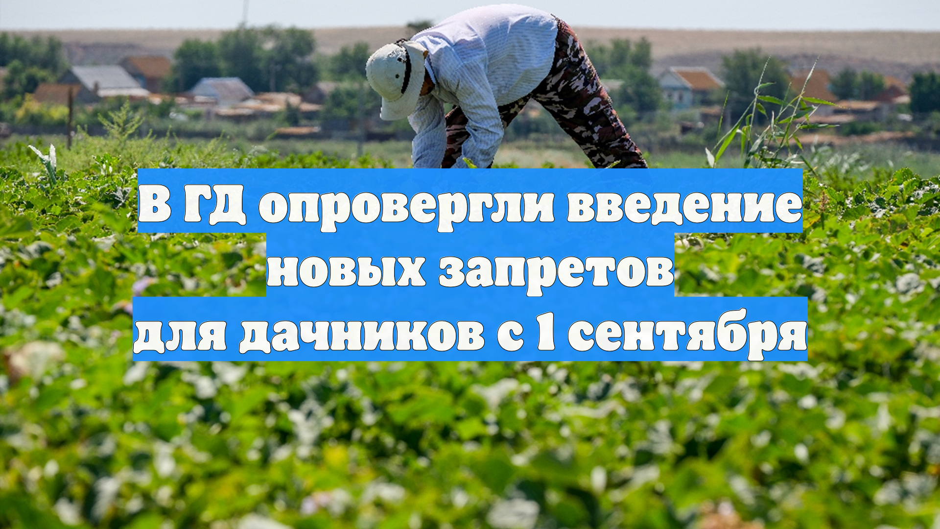 В ГД опровергли введение новых запретов для дачников с 1 сентября