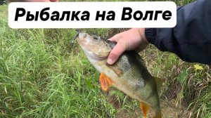 Рыбалка на Волге, выше Твери