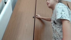 двойник