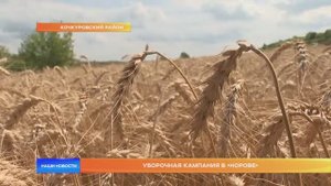 Уборочная кампания в «Норове»