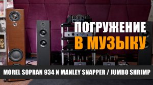 Погружение в музыку. Акустика Morel Sopran 934 с усилителями Manley Stingray, Snapper, Jumbo Shrimp