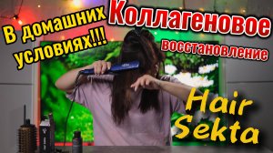 Как я восстановила волосы без дорогих процедур? Спасение сухих волос в домашних условиях. Коллаген