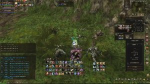 Музыка на фоне игры  lineage2