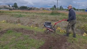 Здесь будет клубника,часть 1