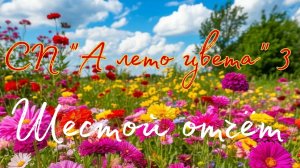 СП "А лето цвета 3" Шестой отчет