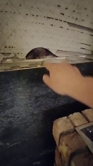 Чуть не сгорела баня за 10 млн. руб. В чем ошибка?