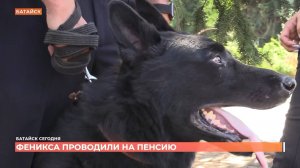 В Батайске служебную собаку проводили на заслуженный отдых