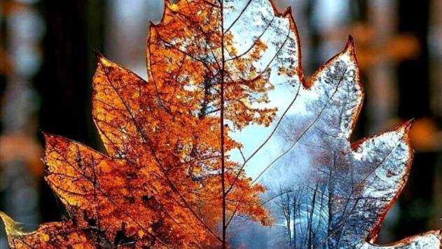 Приходит тихо осень - Прекрасная осенняя пора смотреть онлайн