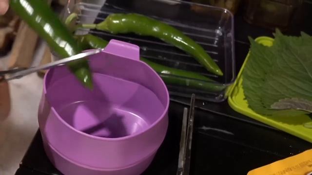 Девушка на природе с палаткой одиночный кемпинг зимой смотреть онлайн