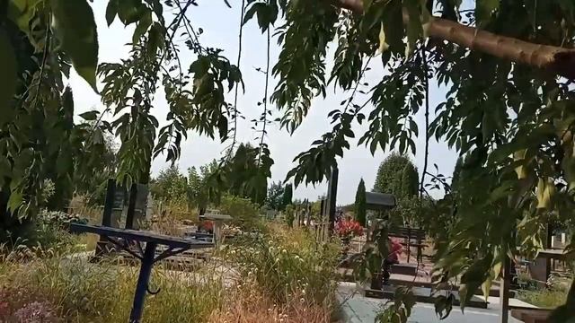 Дорога от могилы матери к могиле брата смотреть онлайн