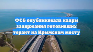 ФСБ опубликовала кадры задержания готовивших теракт на Крымском мосту