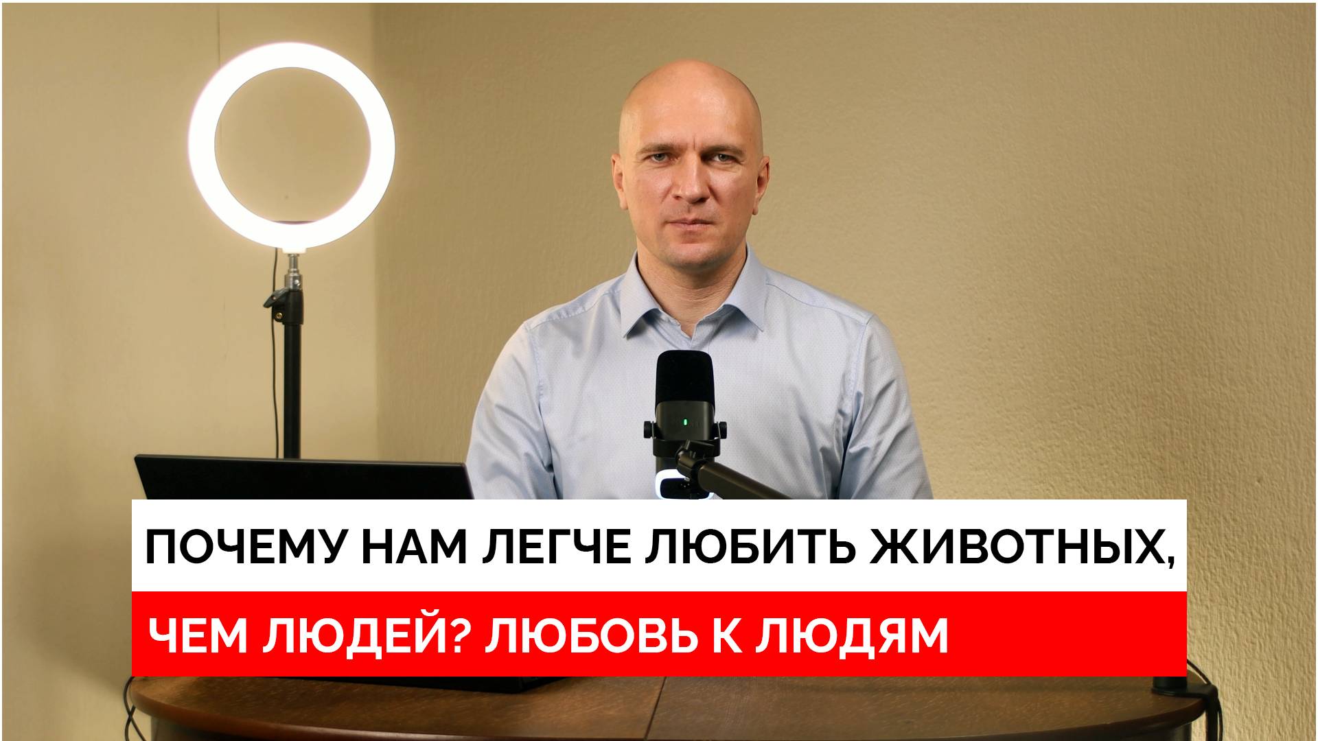 Любовь к людям. Желание заботиться и служить. Почему нам легче любить животных, нежели людей?