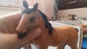 обзор на больших, средних и маленьких лошадей