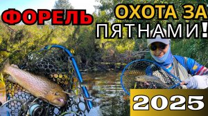 ДИКАЯ ФОРЕЛЬ недалеко от МОСКВЫ!!! ОХОТА ЗА ПЯТНАМИ! Кто ищет – тот найдет!