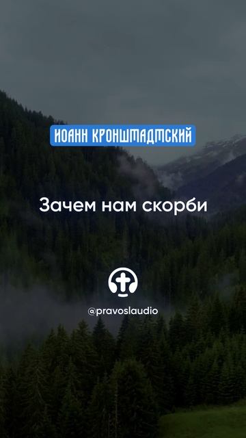 166 Зачем нам скорби — Иоанн Кронштадтский #Бог #душа #вера #молитва #сердце #любовь #жизнь смотреть онлайн